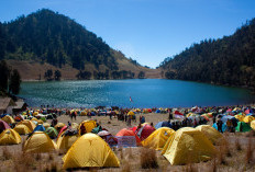 Menyusuri Keindahan Danau Ranukumbolo, Permata Tersembunyi di Jalur Pendakian Semeru