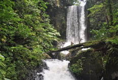 Bukan Bedegung Saja! 3 Air Terjun Muara Enim Ini Diam-Diam Lebih Memikat