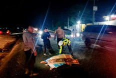 Daihatsu Ayla Tabrak Pejalan Kaki hingga Tewas di Tempat