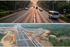 Demi Pusat Ekonomi Baru 4 Tol Raksasa di Sumsel Terobos Hutan dan Rawa