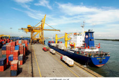 Tanjung Carat dalam Ekosistem Proyek Strategis Nasional (PSN), Masa depan Sumsel ada di Sini!