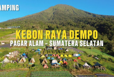 3 Glamping Hits di Pagar Alam untuk Libur Lebaran 2026, Staycation Anti Mainstream!