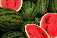 Banyak Orang Baru Tahu, Ada Buah yang Sebaiknya Dihindari Dimakan Saat Malam Hari