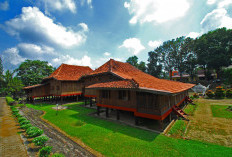 Museum Balaputra Dewa: 3.800+ Koleksi Bersejarah & Rumah Limas Ikonik di Uang Rp10.000!