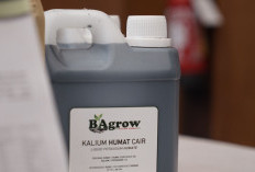 Bukit Asam Siap Komersialisasikan Produk Hilirisasi Batu Bara Kalori Rendah dengan Merek BA Grow