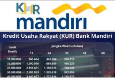 Pengajuan KUR Bank Mandiri: Di Muara Enim Diminati karena﻿