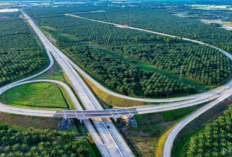 Tol Betung Pacu Ekonomi Sumsel: Akses Cepat, Investasi Deras, Bisnis Kian Cuan