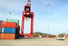 Tanjung Carat Siap Dibangun: Pelabuhan Global Baru yang Mengubah Arah Logistik Sumsel