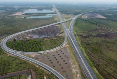 Tol Sumsel Bukan Sekadar Jalan: Proyek Strategis Jadi Penggerak Utama, Perkuat Akses Global Masa Depan!