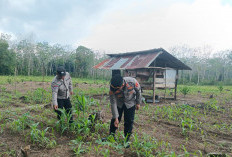 Dukung Kesejahteraan Petani Desa Sugih Waras Barat