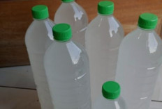 Waspada Minum Air Lontar yang Lebih Dari 3 Hari