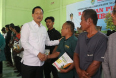 Kelompok Tani Dapat Bantuan Pupuk 127,2 Ton