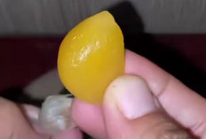 Inilah 5 Manfaat Bawang Putih yang Menguning