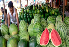8 Manfaat Biji Semangka yang Banyak Orang Tidak Tau