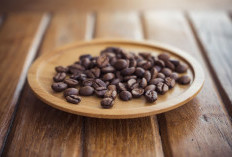 Terungkap! Pagar Alam Tergelincir, Muara Enim Justru Melejit Jadi Kuda Hitam Kopi Sumsel