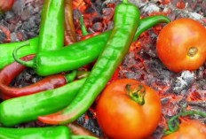Jarang Diketahui, Inilah Kelebihan Cabe dan Tomat Bakar