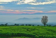 Menguak Keindahan Sumsel, Pesona Danau Ranau dan Mistisnya Gunung Dempo 