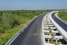 Tol Sumsel Jadi Mesin Ekonomi Baru, Dari Desa Hingga Industri Ikut Terkoneksi