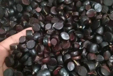 6 Khasiat Kabau Untuk Kesehatan