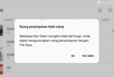 Memori Penuh? Tak Perlu Panik! Ikuti Cara Efektif Mengatasi Masalah Penyimpanan HP