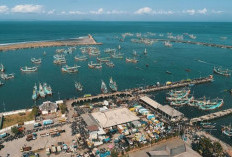 Dari Banyuasin ke Dunia: Pelabuhan Laut Dalam Tanjung Carat,  Awal Era Baru Ekonomi Sumatera Selatan