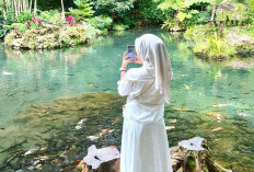 Liburan Menenangkan Saat Tahun Baru 2026 di Green Paradise Pagar Alam, Liburan Alam yang Segar 