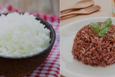 Ini Dia Perbedaan Nasi Putih dan Nasi Merah 