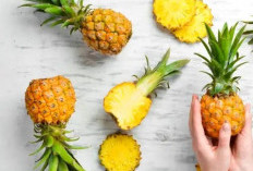 Beberapa Manfaat dari Nanas Madu yang Harus Anda ketahui