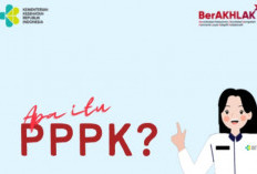 Buru! Kemkes Terima 14.593 PPPK 2024, Pengumuman CASN Pasca Sanggah