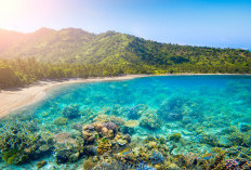 Suka Jalan-Jalan Sendirian? Ini 5 Destinasi Solo Traveling Terbaik di Indonesia