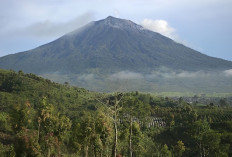 3 Taman Nasional Warisan Dunia yang Jadi Benteng Terakhir Satwa Sumatra