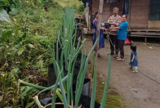 Warga Tegal Rejo Dukung Program P2B Manfaatkan Pekarangan Rumah