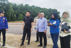 Tinjau Lokasi Perkantoran Vertikal