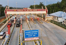 Palembang Kini Jadi Simpul Emas Sumatera: 3 Jalan Tol Raksasa dan Pelabuhan Global Siap Melesatkan Ekonomi!