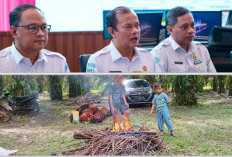 Begini Alasan Musim Kemarau 2026 Datang Lebih Awal, Lebih Panjang dan Lebih Kering