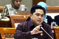 Anggaran Kementerian BUMN Naik Jadi Rp 280 Miliar, Ini Fokus Erick Thohir