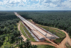 Tol Betung–Jambi Seksi 1A Dibangun Rp3,79 T, Apa Dampaknya bagi Ekonomi Sumatera?