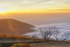 Gunung Guntur: Pesona Gunung Berapi Aktif di Kabupaten Garut