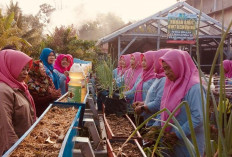 Dari Tanah Tidur Menjadi Ladang Harapan: Kisah Kaum Ibu Prabumulih Wujudkan Kemandirian Pangan