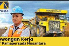 KESEMPATAN, PT PAMA Buka Lowongan Kerja! Peluang emas menatap masa depan