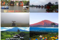 Spot Foto Instagramable di Gunung Dempo, Santai dan Ngopi di Tengah Keindahan Alam  