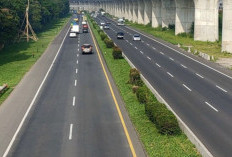 Dorong Penguatan Jalur Distribusi dan Investasi, Sumsel Bakal Punya Jalan Tol Menuju Pelabhuan Internasional