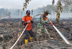 Tiga Elemen Penting Senjata Padamkan Api Karhutla di Muara Enim: Air, Peralatan dan Pertamax dalam Derigen