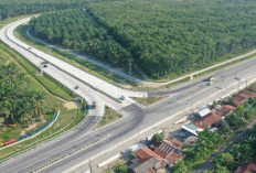 Tol Betung-Tempino-Jambi: Progres Kilat, Teknologi Canggih & Dampak Ekonomi Besar