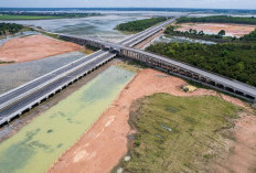 Tol 118 Km Belah Sumsel Tengah, 7 Daerah Bersiap Panen Besar Ekonomi Baru