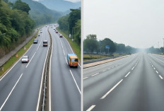 Sabar! 1 dari 2 Tol Raksasa Baru di Sumsel Progres Sisanya Tinggal 20% Menuju Operasional 