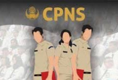CPNS & PPPK 2025 Belum Dibuka! Ribuan Honorer Gagal, Pemerintah Fokus Tuntaskan 2024