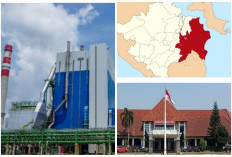 Bukan Palembang atau Muara Enim! Puluhan Triliun Investasi Asing di Sumsel Terbenam di Daerah Ini