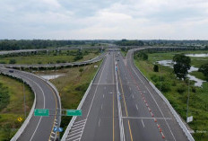 Tol Trans Sumatera Melejit di Sumsel! 8 Proyek Raksasa Bernilai Puluhan Triliun Siap Dongkrak Ekonomi Nasional