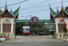 Wisata Kebun Binatang Tertua di Indonesia